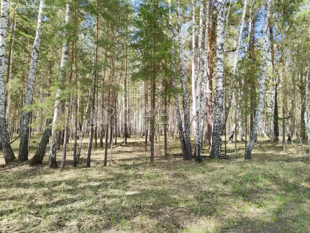 Участок в Тюменский район, СНТ Геофизик (110.01 м) - Фото 1