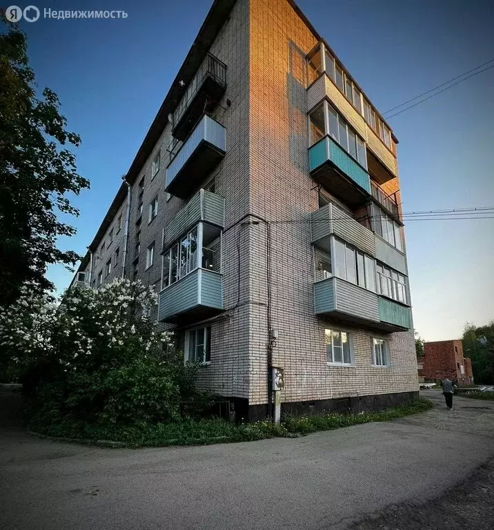 3-комнатная квартира: Малая Вишера, Лесная улица, 14 (58 м) - Фото 1