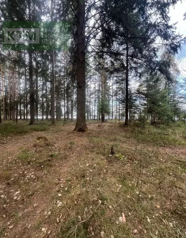 Участок в Ленинградская область, Всеволожск  (20.0 сот.) - Фото 1