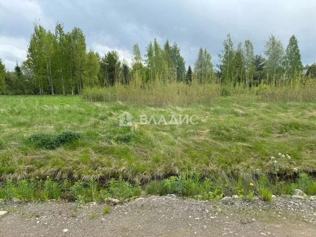 Участок в Ленинградская область, Всеволожский район, Куйвозовское ... - Фото 0