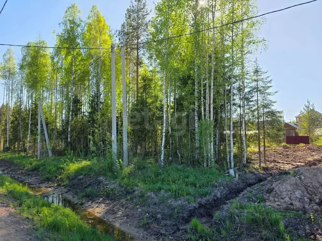 Участок в Коми, Сыктывкар Емваль мкр,  (10.74 сот.) - Фото 2