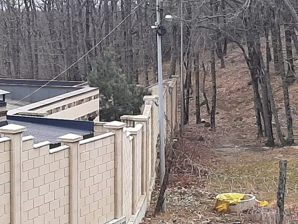 Участок в Крым, Ялта городской округ, Виноградное пгт ш. ... - Фото 1