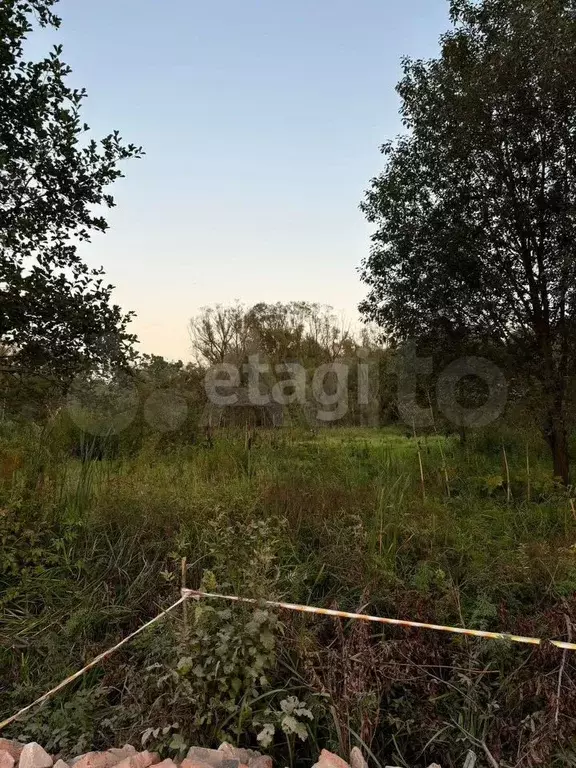 Участок 12 сот. (СНТ, ДНП) - Фото 1