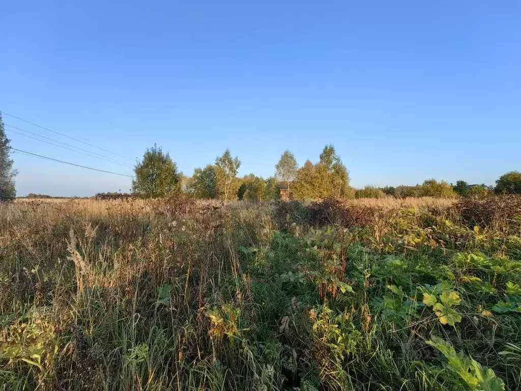 Участок в Московская область, Рузский городской округ, д. Тишино ул. ... - Фото 0