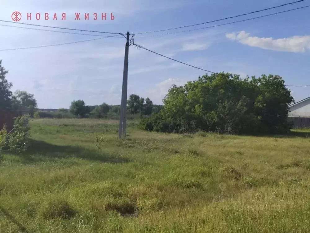 Участок в Самарская область, Красный Яр с/пос, пос. Кочкари ул. ... - Фото 1