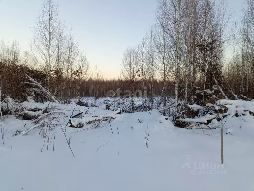 Участок в Челябинская область, Сосновский район, с. Кременкуль  (13.2 ... - Фото 0