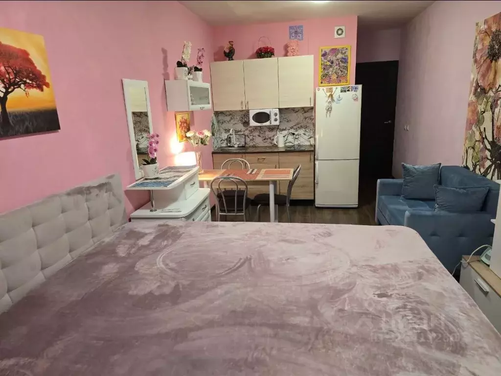 Студия Санкт-Петербург просп. Ветеранов, 173к7 (30.0 м) - Фото 1