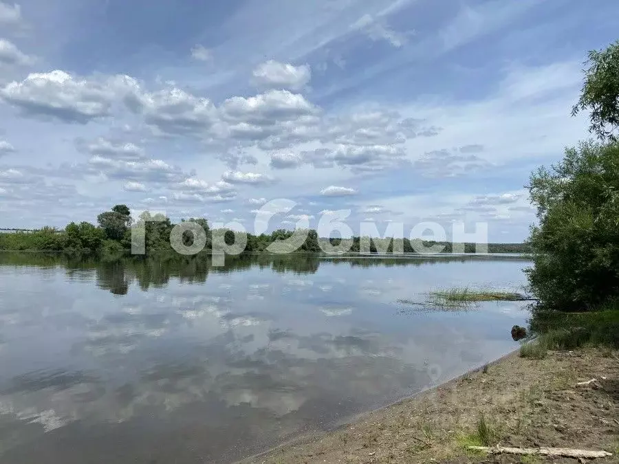 Участок в Московская область, Пущино Серпухов городской округ,  (12.0 ... - Фото 1