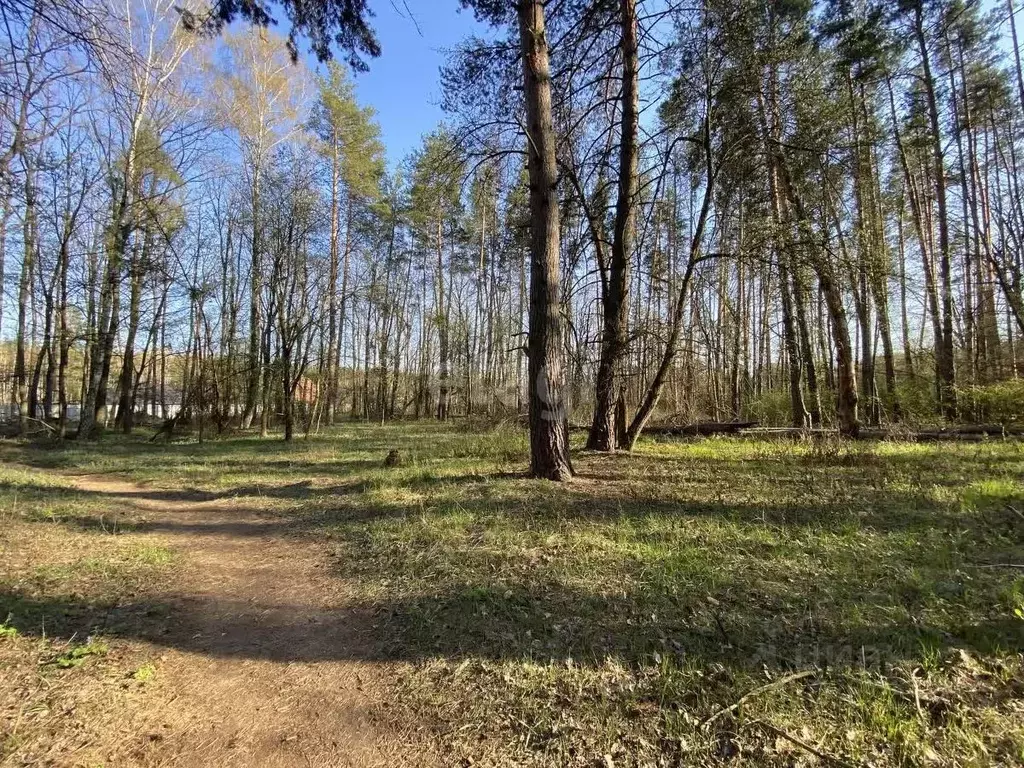 Участок в Воронежская область, Рамонский район, с. Ямное  (8.56 сот.) - Фото 1