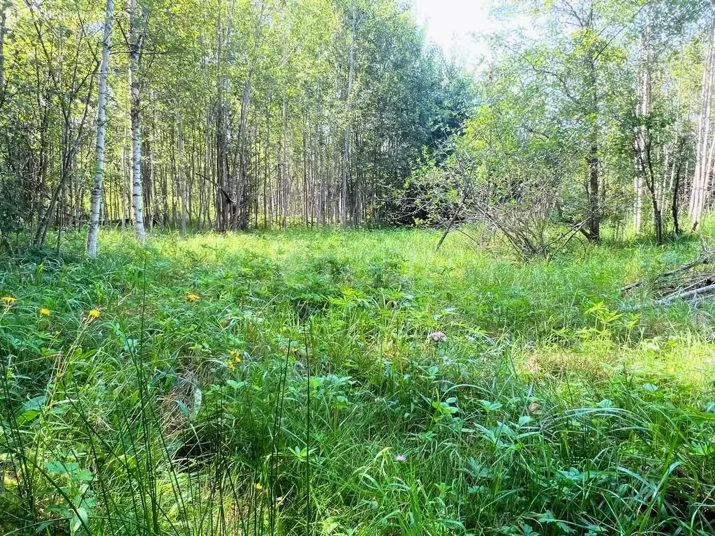 Участок в Кусинское сельское поселение, садоводческий массив ... - Фото 0