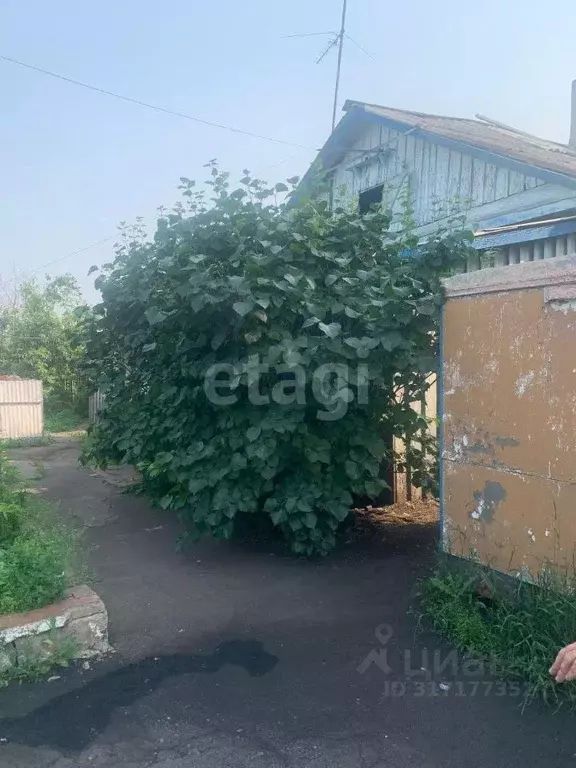 Дом в Амурская область, с. Тамбовка ул. Мухинская, 2 (68 м) - Фото 2