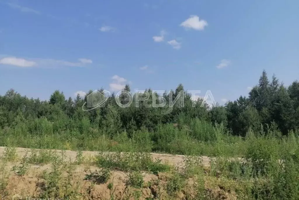 Участок в Тюменская область, с. Нижняя Тавда ул. Березовая, 11 (10.0 ... - Фото 1