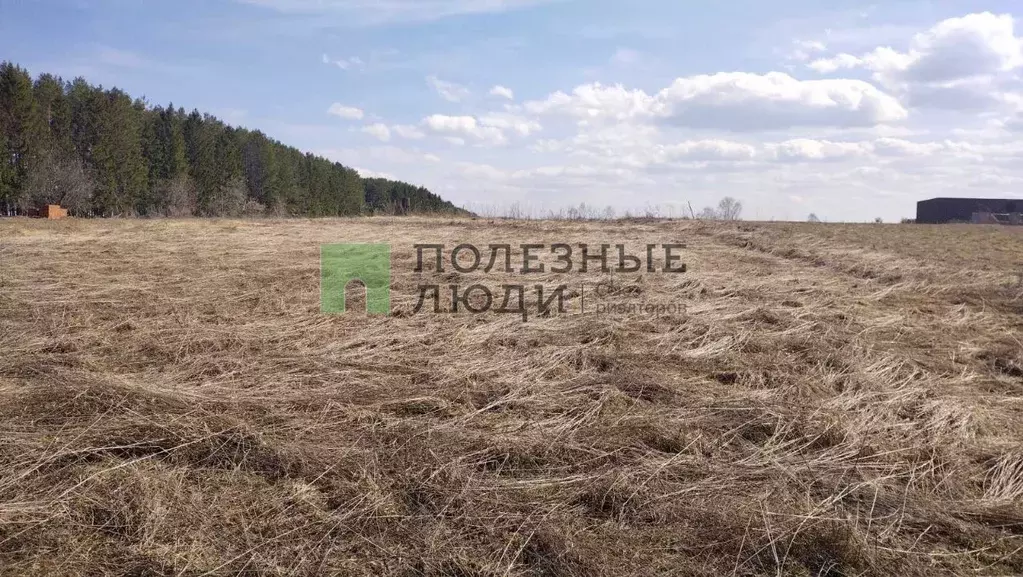 Участок в Удмуртия, Завьяловский район, д. Подшивалово ул. Южная (40.0 ... - Фото 0