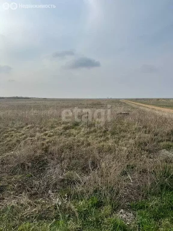 Участок в Сакский район, село Уютное (7.7 м) - Фото 1