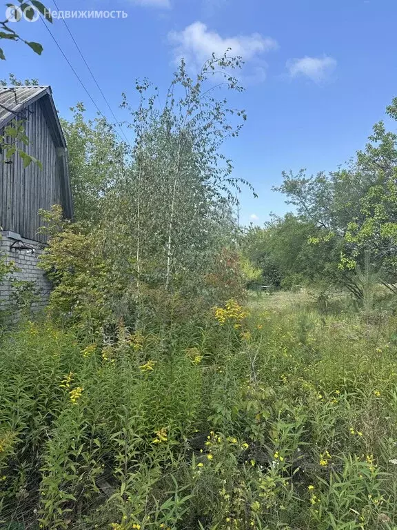 Участок в Воронеж, СНТ Завода Радиодеталей, Аэродромная улица (8.48 м) - Фото 0