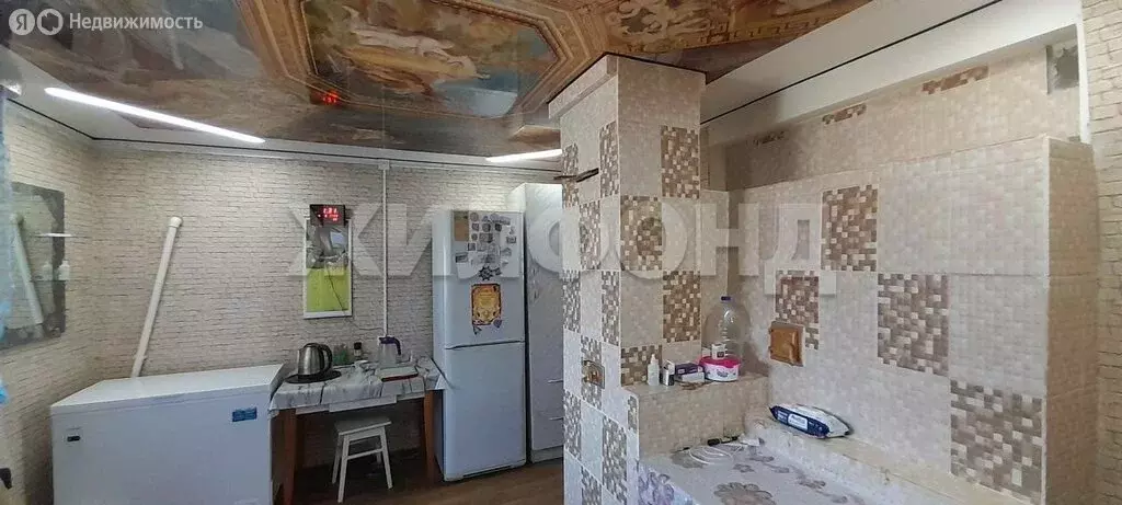 Дом в Шерловая Гора, улица Горького (48 м) - Фото 0