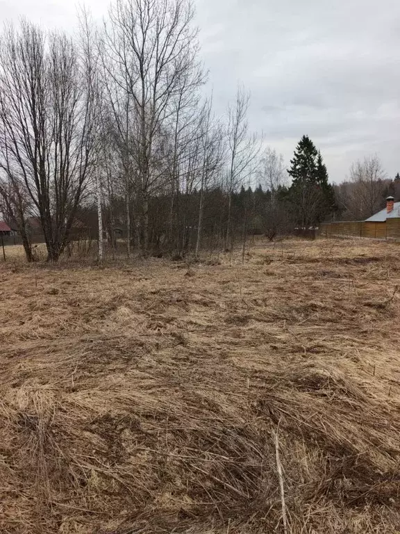 Участок в Московская область, Можайский муниципальный округ, д. ... - Фото 0