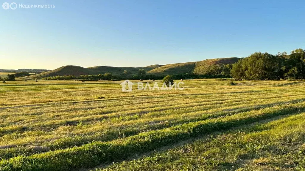 Участок в деревня Рязановка, Центральная улица, 278 (8 м) - Фото 1