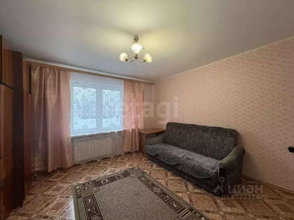 Студия Воронежская область, Воронеж ул. Ломоносова, 114/28 (26.0 м) - Фото 2