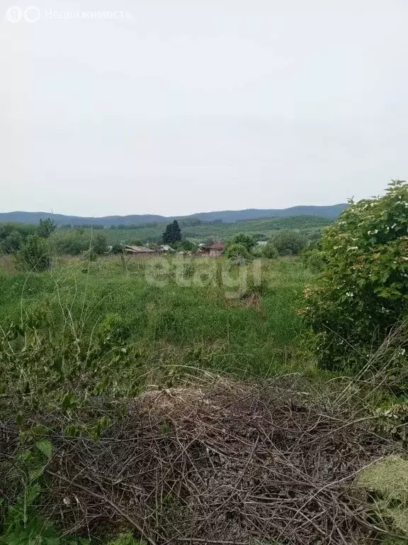 Участок в село Алтайское, улица Зелёный Клин (15 м) - Фото 1