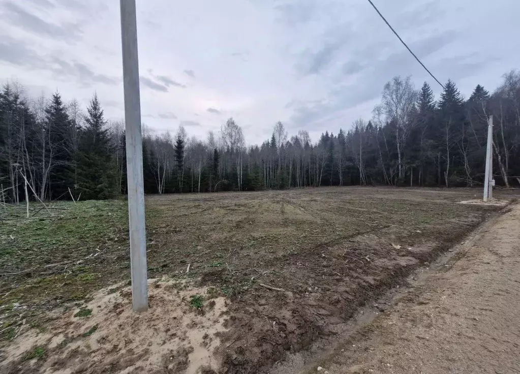 Участок в Московская область, Рузский муниципальный округ, д. ... - Фото 2