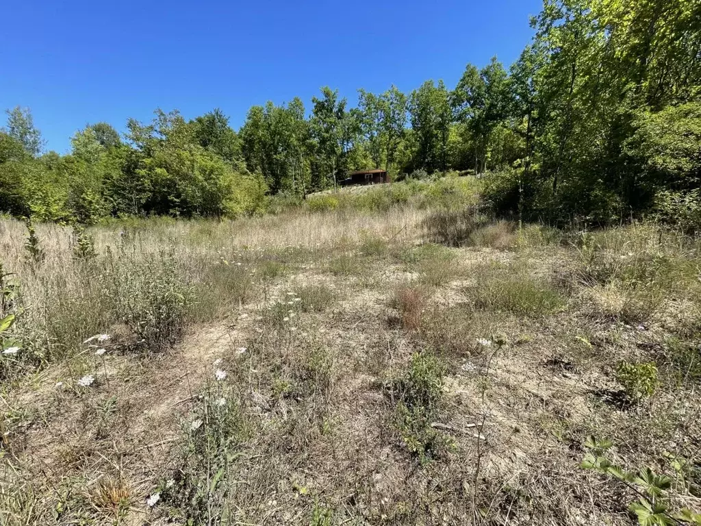 Участок в Краснодарский край, Геленджик городской округ, с. ... - Фото 1