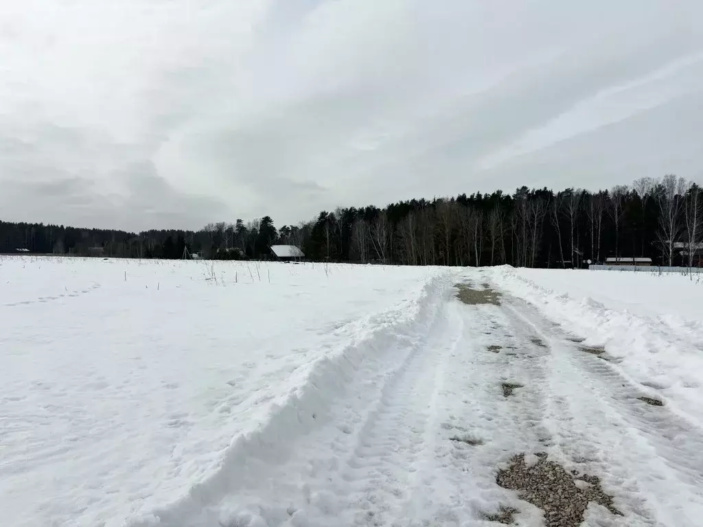 Участок в Московская область, Чехов городской округ, д. Пронино  (17.3 ... - Фото 1