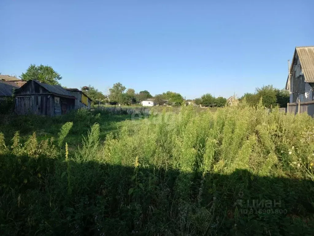 Дом в Белгородская область, Волоконовка рп ул. Гагарина, 37 (31 м) - Фото 1