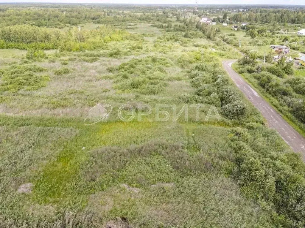 Участок в Тюменская область, Тюмень Медик СНТ, ул. Морковная, 87 (6.2 ... - Фото 1