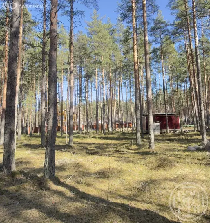 Участок в Громовское сельское поселение, посёлок Гречухино (12 м) - Фото 2