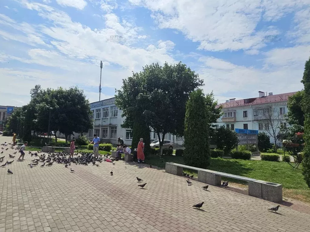 Помещение свободного назначения в Калужская область, Балабаново ... - Фото 1