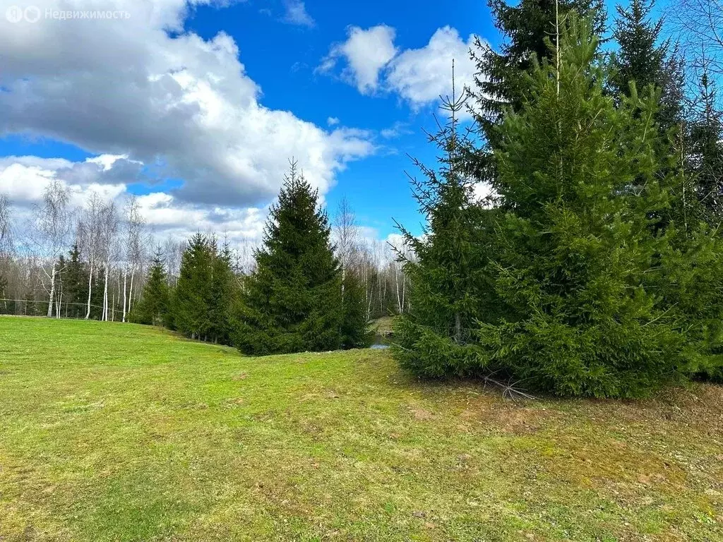 Участок в Рузский городской округ, деревня Мамошино (6.57 м) - Фото 1