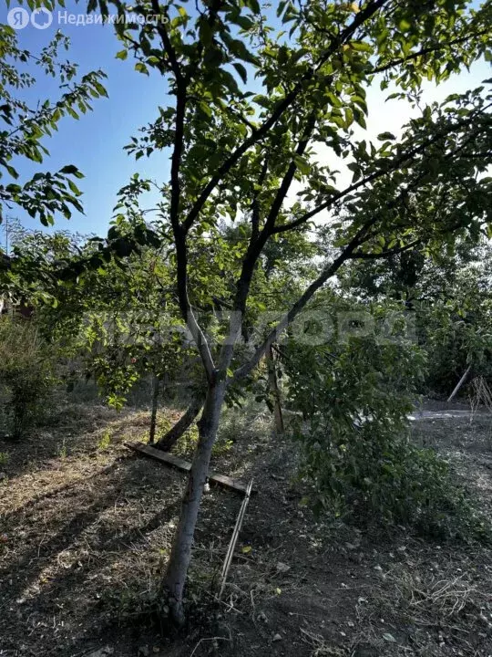 Участок в Новочеркасск, Северная улица (6 м) - Фото 0