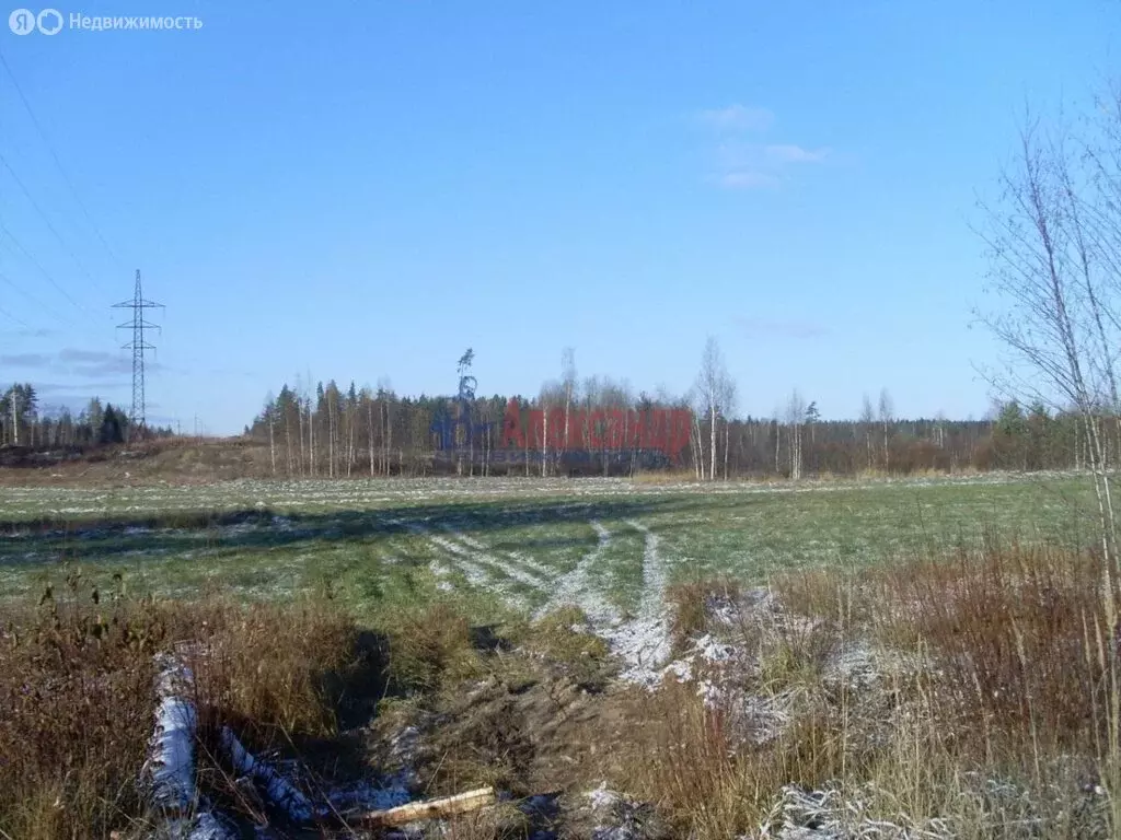 Участок в Выборгский район, Каменногорское городское поселение, ... - Фото 0