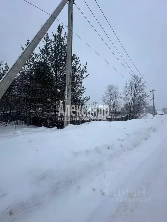 Участок в Ленинградская область, Бокситогорский район, Самойловское ... - Фото 1