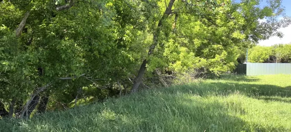 Участок в Саратовская область, с. Поповка пер. 1-й Парковый, 4А (28.0 ... - Фото 2