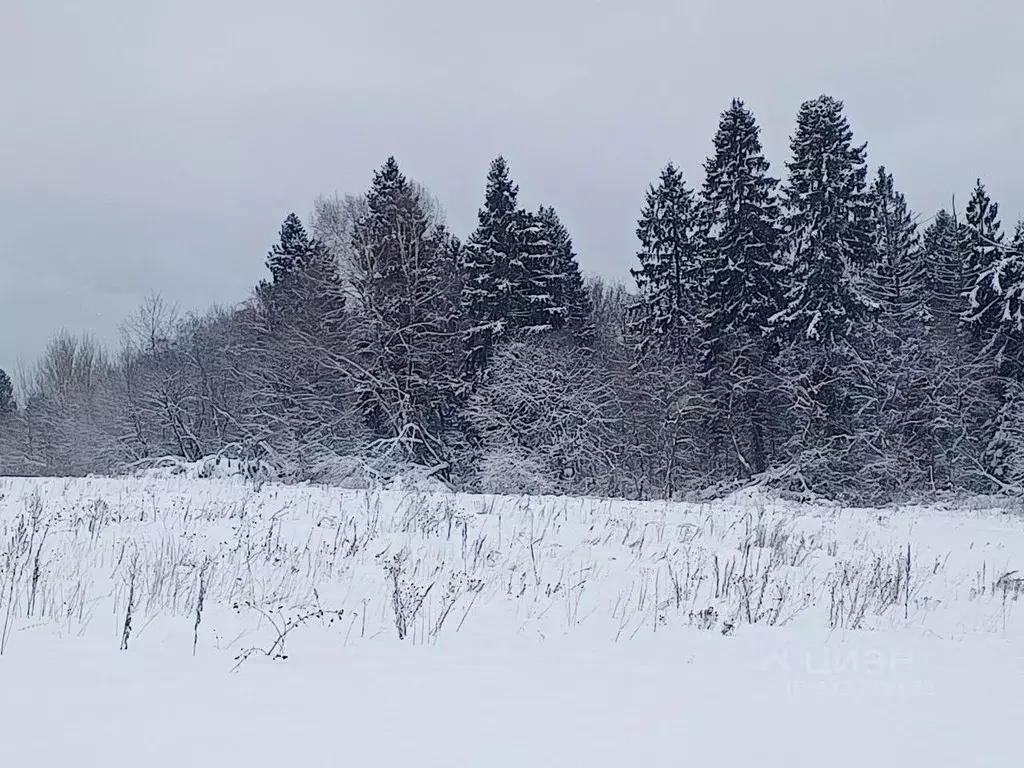 Участок в Московская область, Сергиево-Посадский городской округ, с. ... - Фото 0