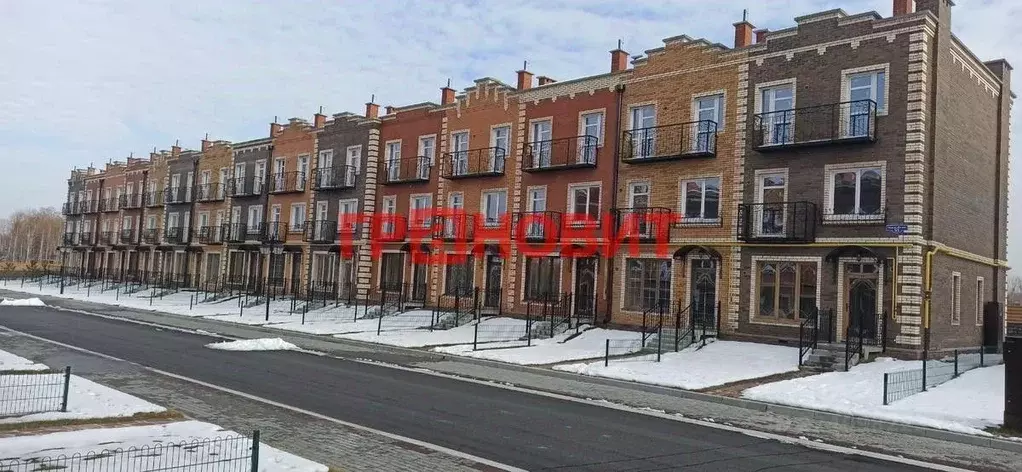 Таунхаус в Новосибирская область, с. Новолуговое, Березки-2 мкр, 5-й ... - Фото 1