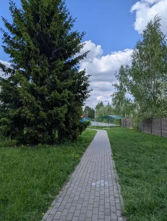 3-к кв. Московская область, Мытищи городской округ, пос. Вешки ул. ... - Фото 2