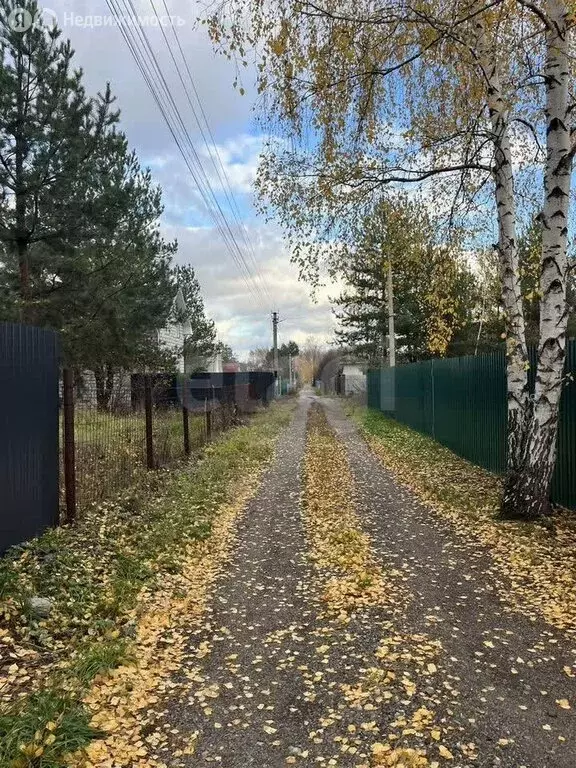 Участок в Рамонский район, Айдаровское сельское поселение, СНТ ... - Фото 1