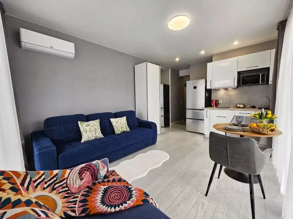 1-к кв. Краснодарский край, Сочи городской округ, Дагомыс пгт ул. ... - Фото 1