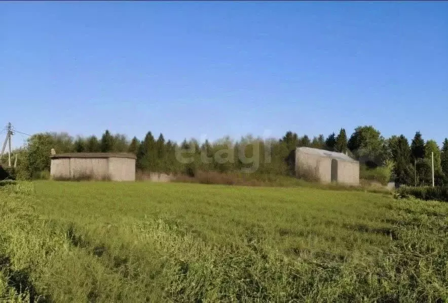 Участок в Тюменская область, Нижнетавдинский район, с. Велижаны ... - Фото 1