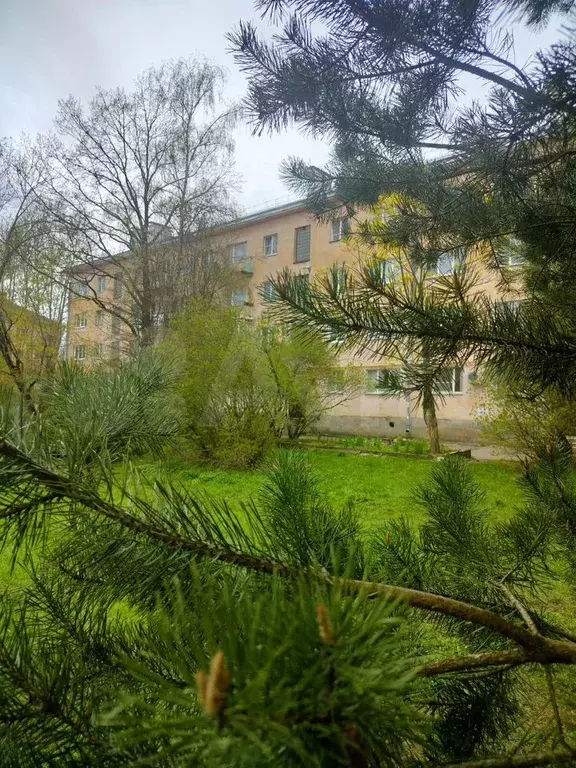 3-к. квартира, 54 м, 1/4 эт. - Фото 0