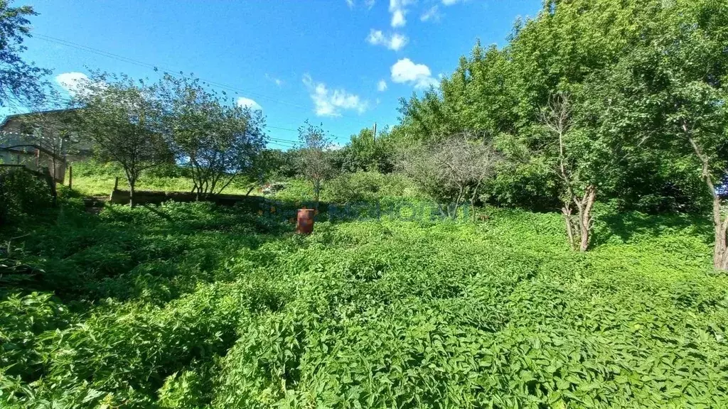 Участок в Нижегородская область, Нижний Новгород д. Никульское, ул. ... - Фото 0