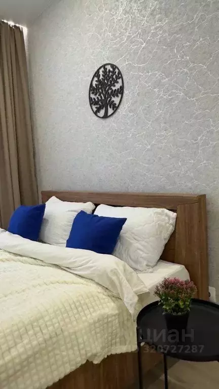 Студия Новосибирская область, Новосибирск ул. Связистов, 162/2 (30.0 ... - Фото 1