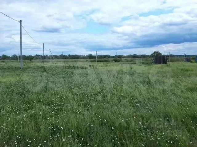 Участок в Курганская область, Курган ул. Чашинская (6.0 сот.) - Фото 2