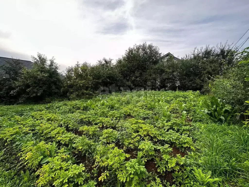 Участок в Москва д. Шаганино, 10/2 (4.27 сот.) - Фото 2