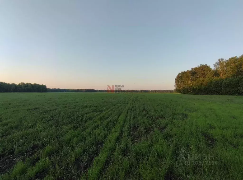 Участок в Тюменская область, Тюменский район, д. Зырянка  (1126.0 ... - Фото 1