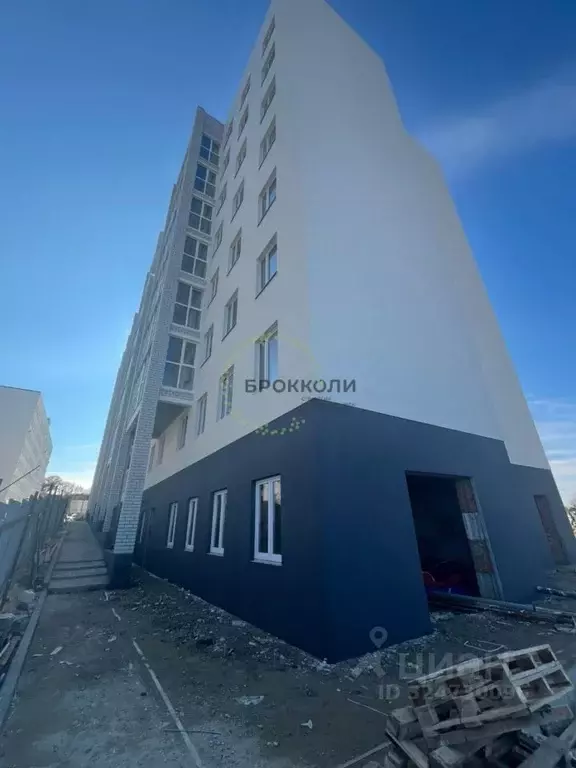 Помещение свободного назначения в Волгоградская область, Волгоград ... - Фото 1