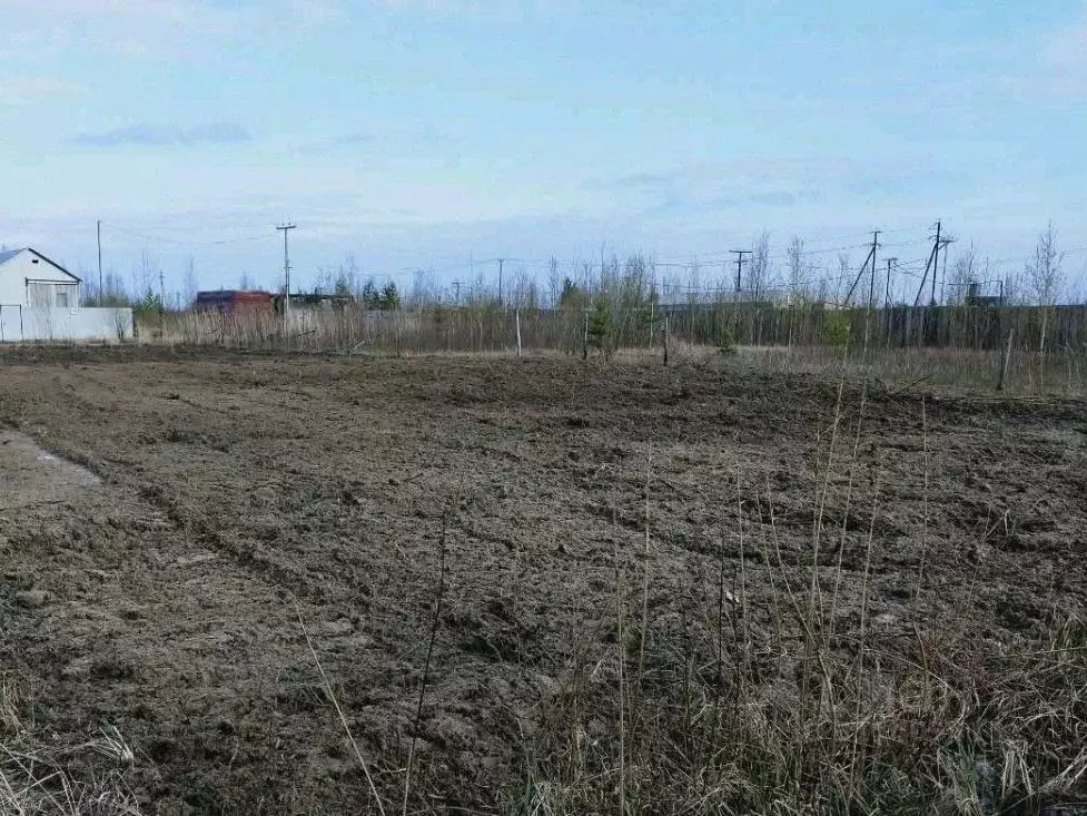 Участок в Ханты-Мансийский АО, Нижневартовск У Озера СОНТ,  (10.0 ... - Фото 1